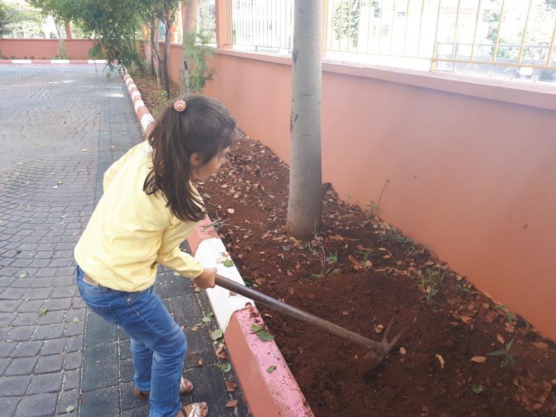 13-02-2019